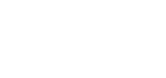 Maggetti